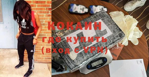 шишки Богданович