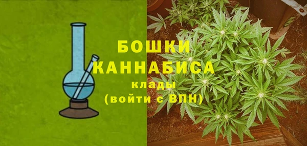 прущий лед Богородицк