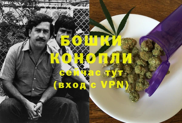 стаф Покровск
