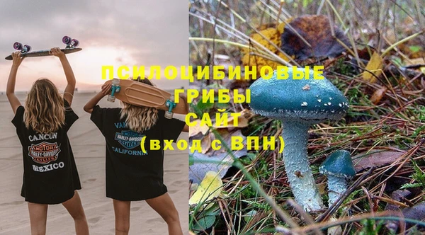 шишки Богданович
