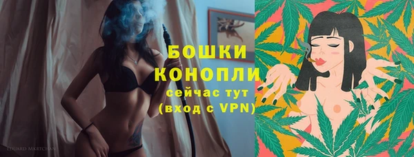 шишки Богданович