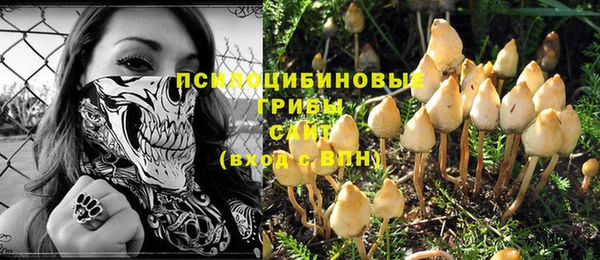 шишки Богданович